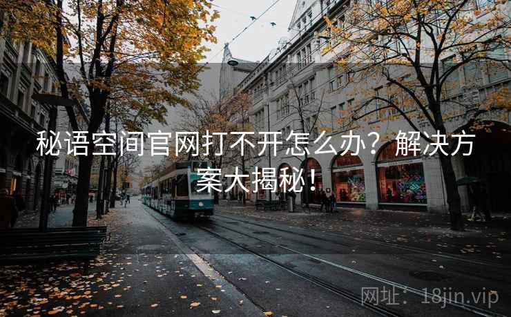 秘语空间官网打不开怎么办？解决方案大揭秘！