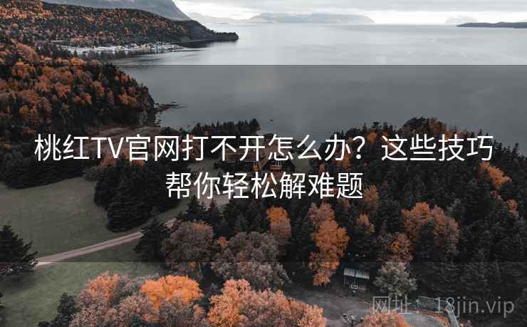 桃红TV官网打不开怎么办？这些技巧帮你轻松解难题