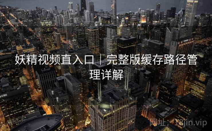 妖精视频直入口｜完整版缓存路径管理详解