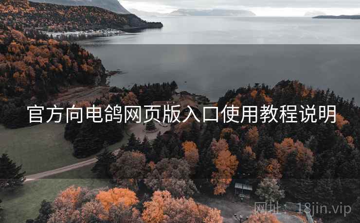 官方向电鸽网页版入口使用教程说明 官方向电鸽网页版入口使用教程说明