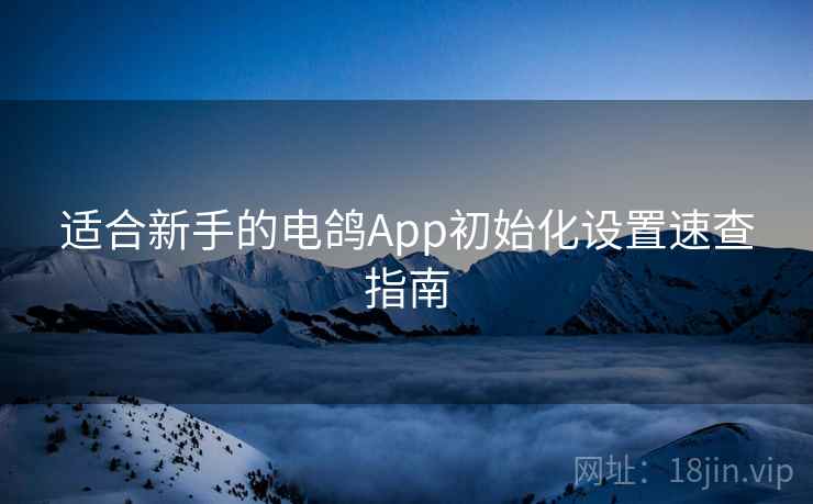 适合新手的电鸽App初始化设置速查指南